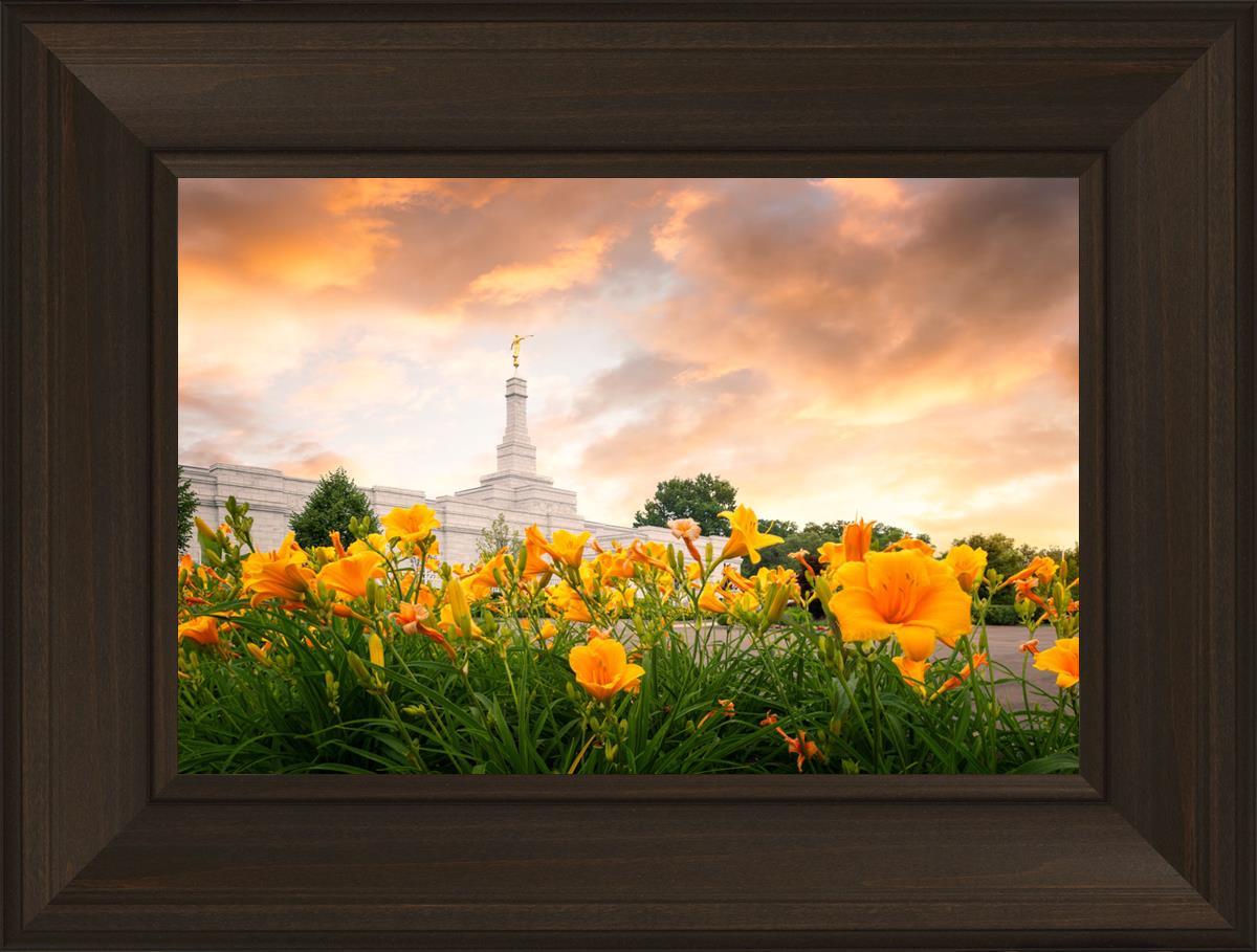 Detroit Flowers
