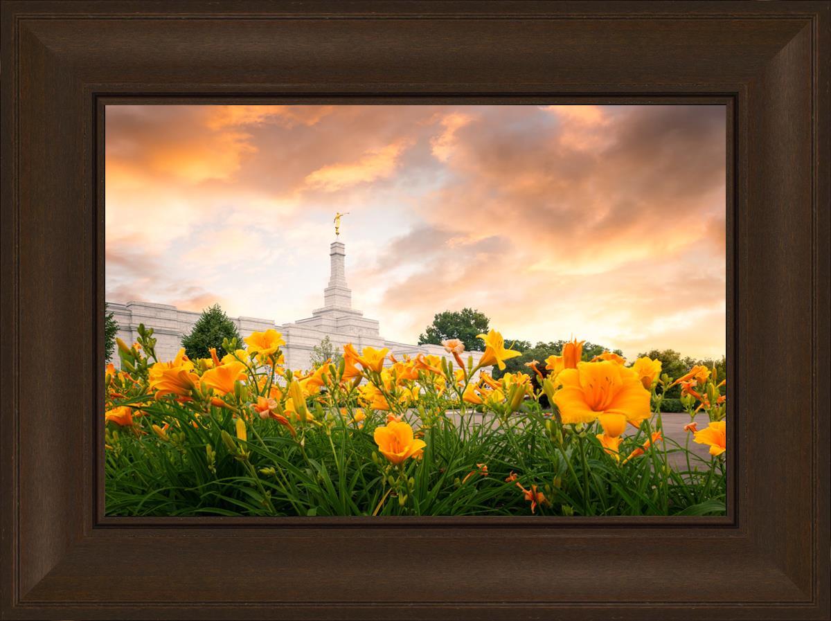 Detroit Flowers