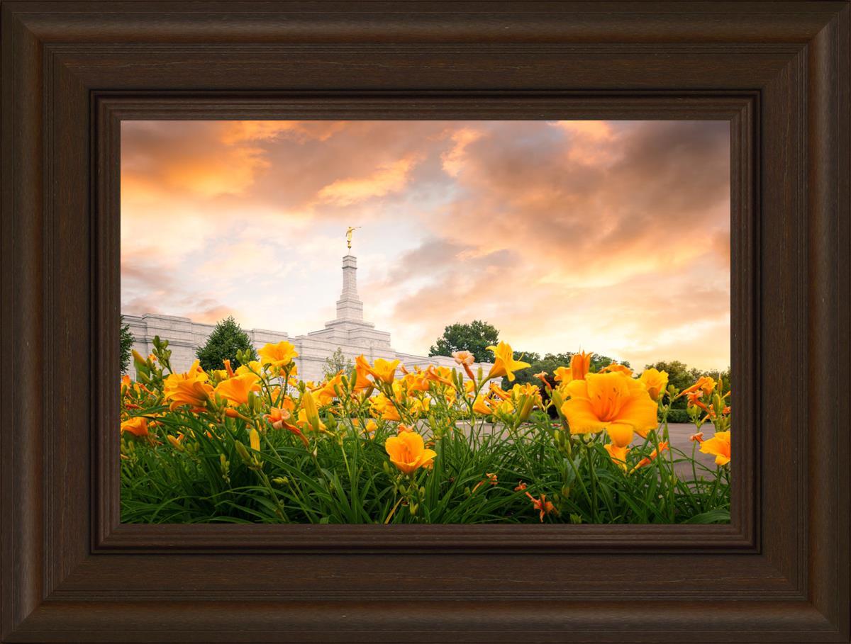 Detroit Flowers