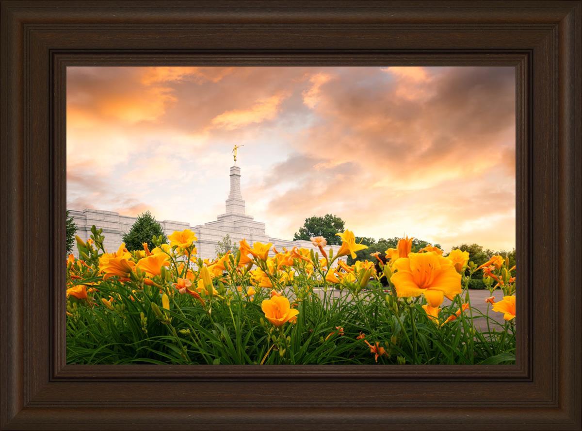 Detroit Flowers