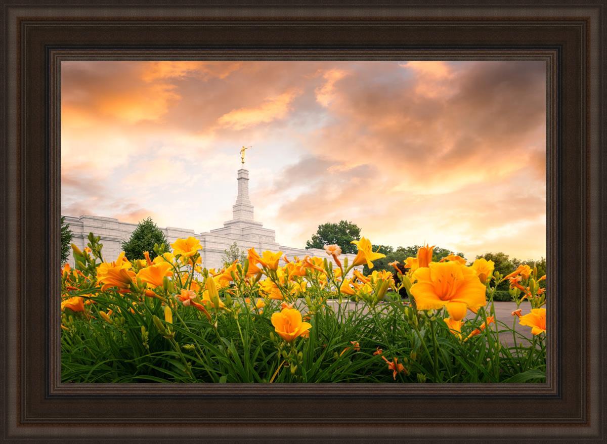 Detroit Flowers