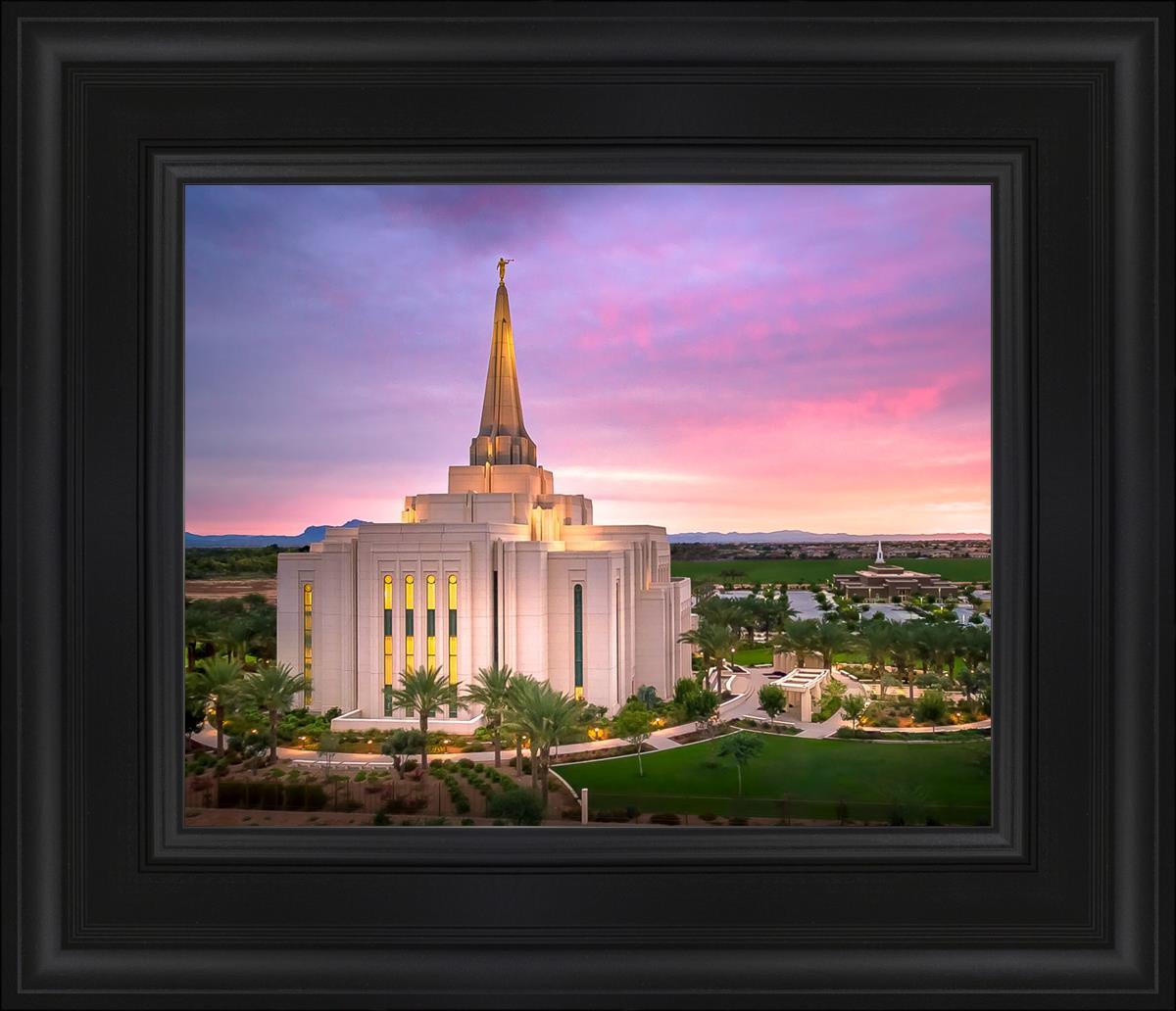 Gilbert Pink Sunrise