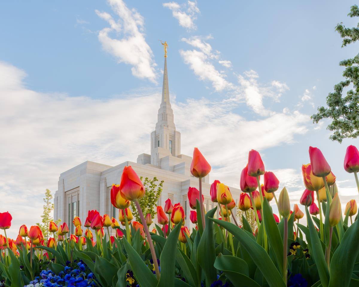 Ogden Flowers