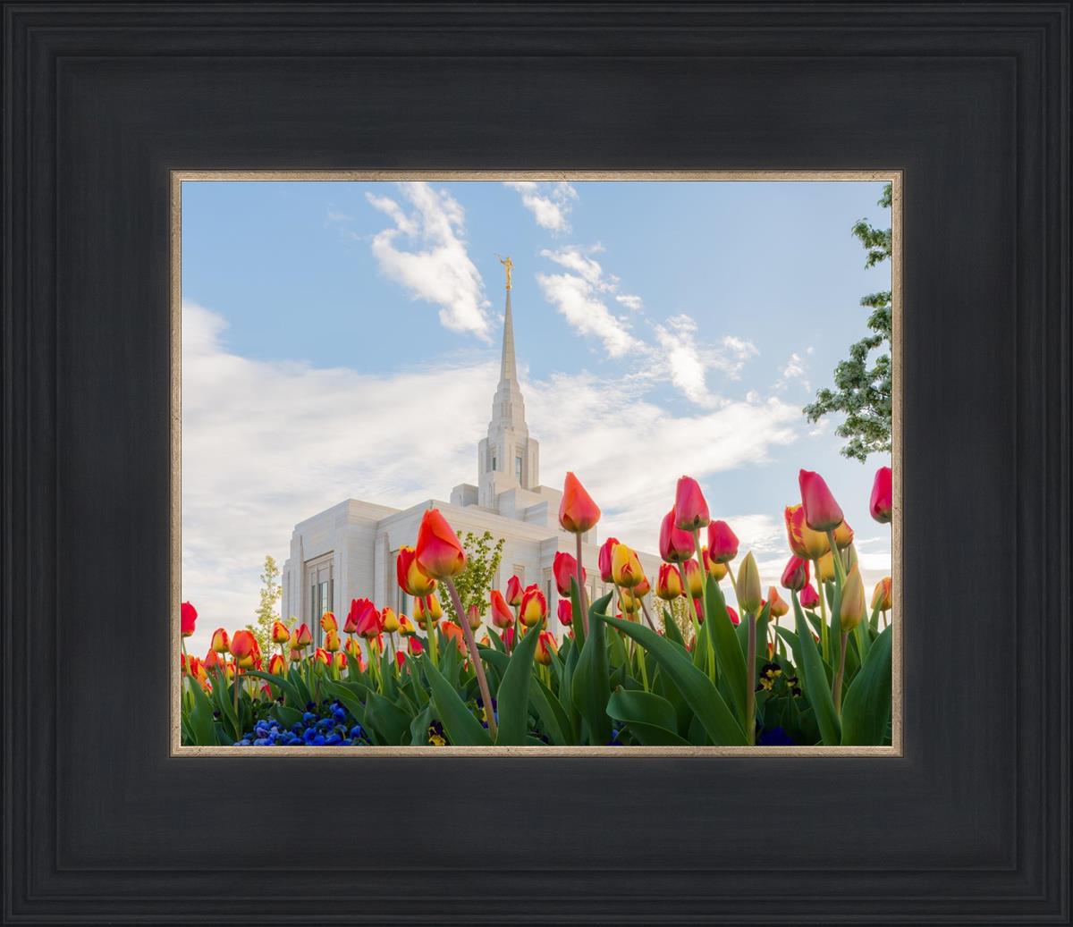 Ogden Flowers