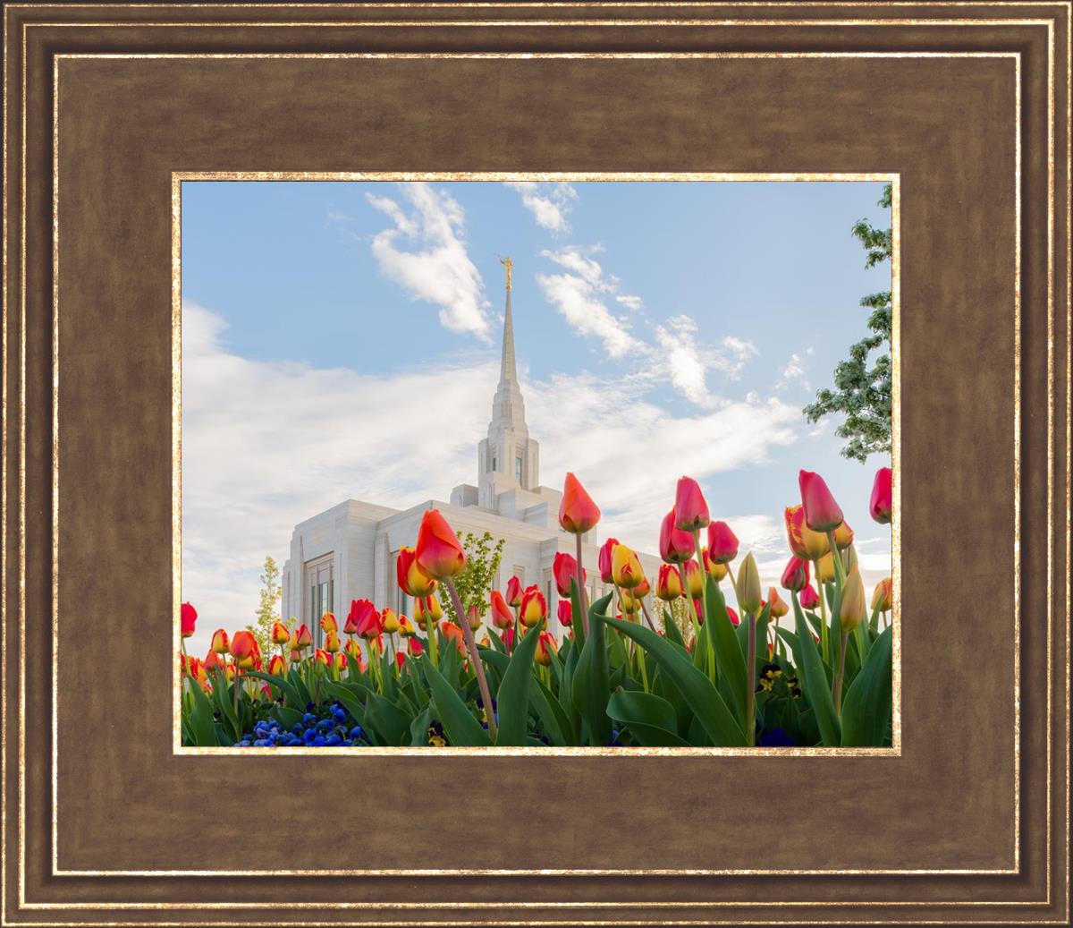 Ogden Flowers