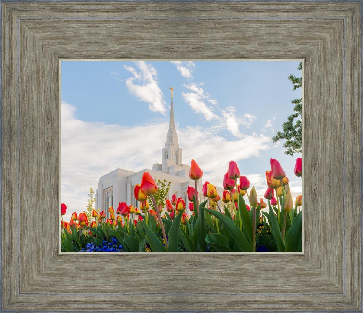 Ogden Flowers