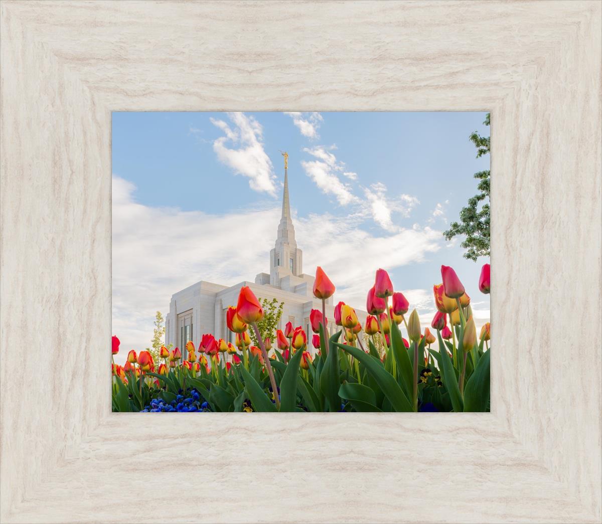 Ogden Flowers