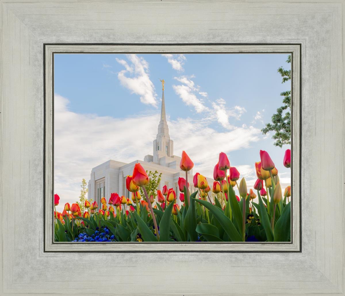 Ogden Flowers