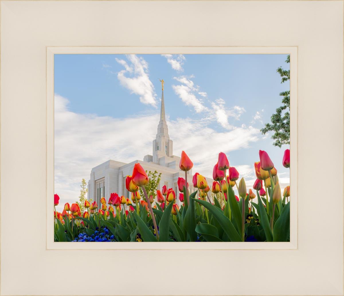 Ogden Flowers