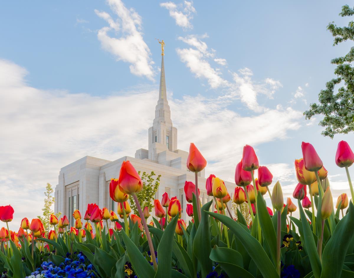 Ogden Flowers