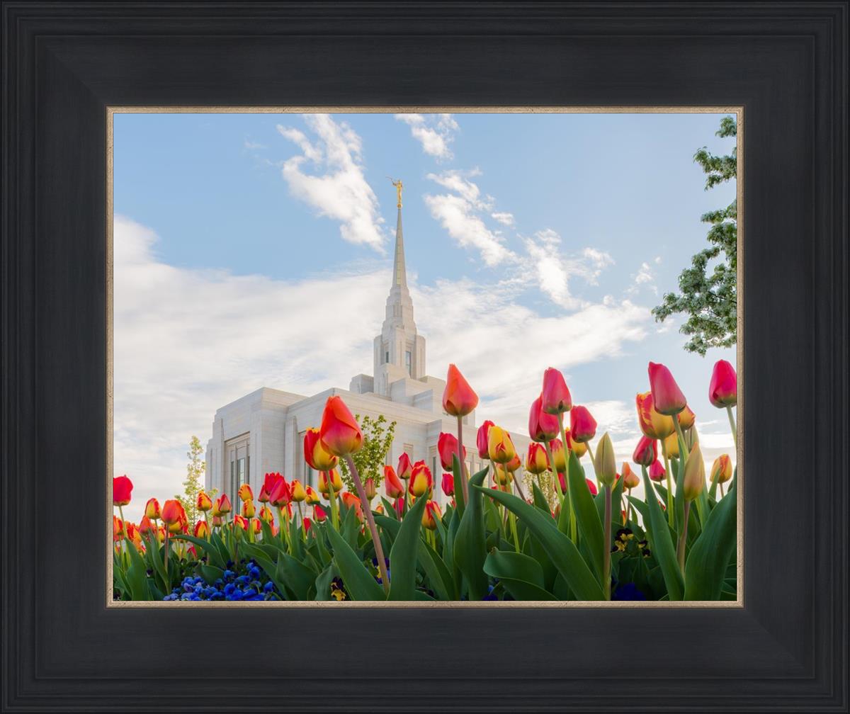 Ogden Flowers