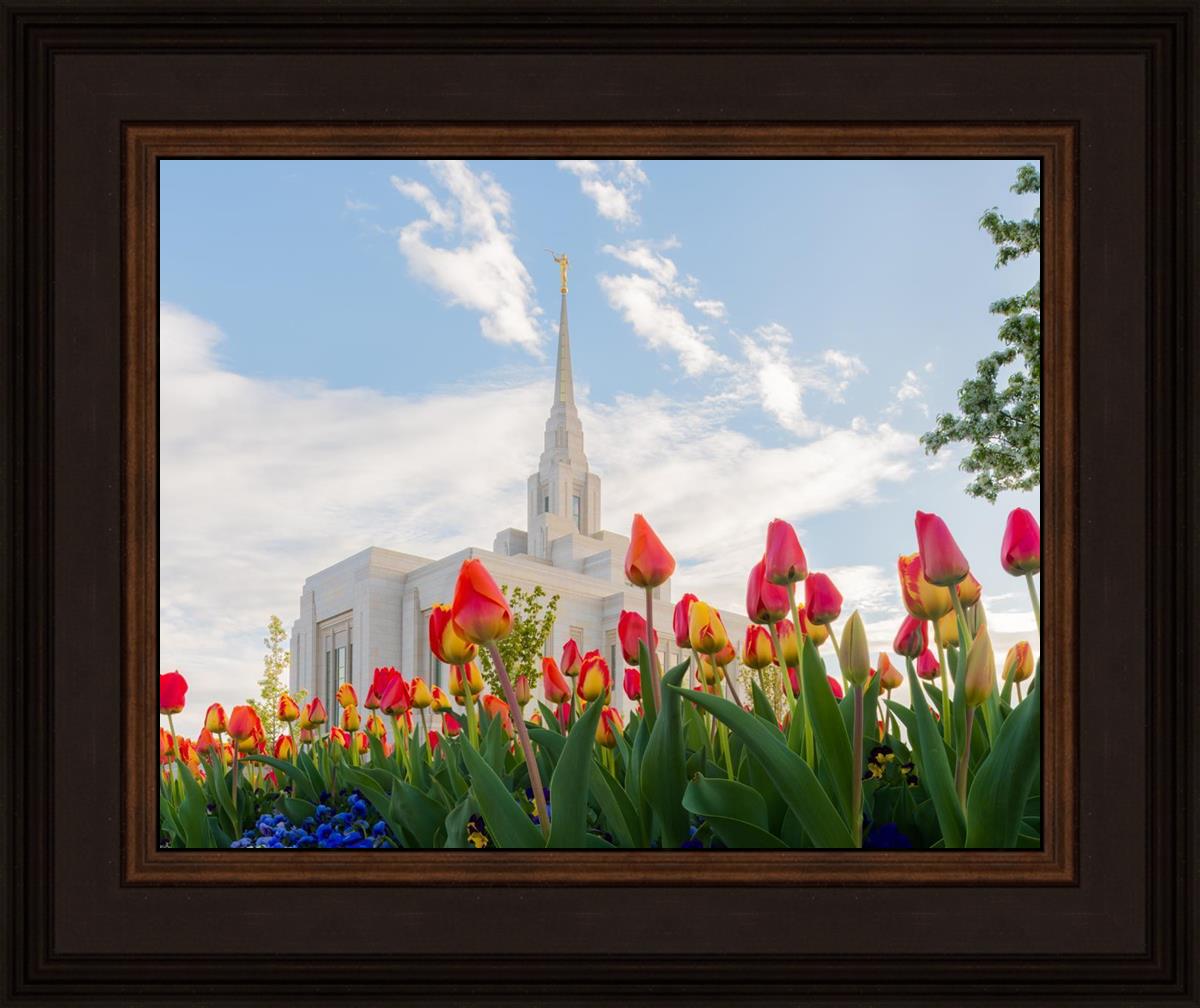 Ogden Flowers