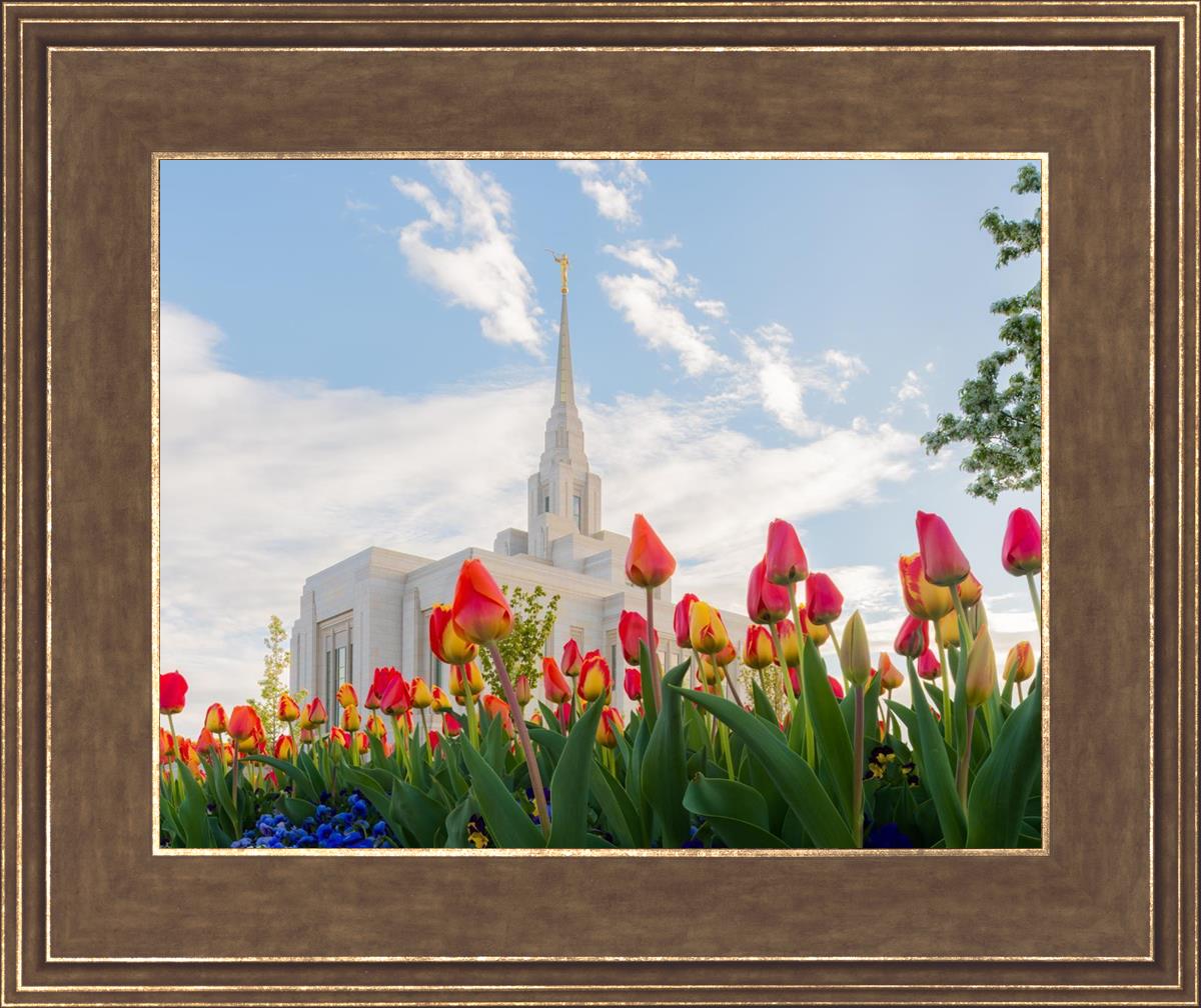 Ogden Flowers
