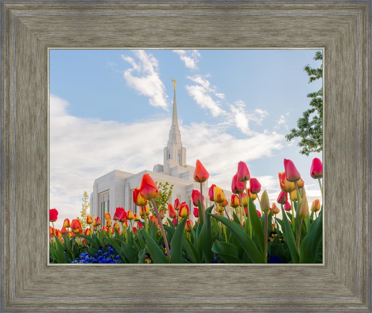 Ogden Flowers