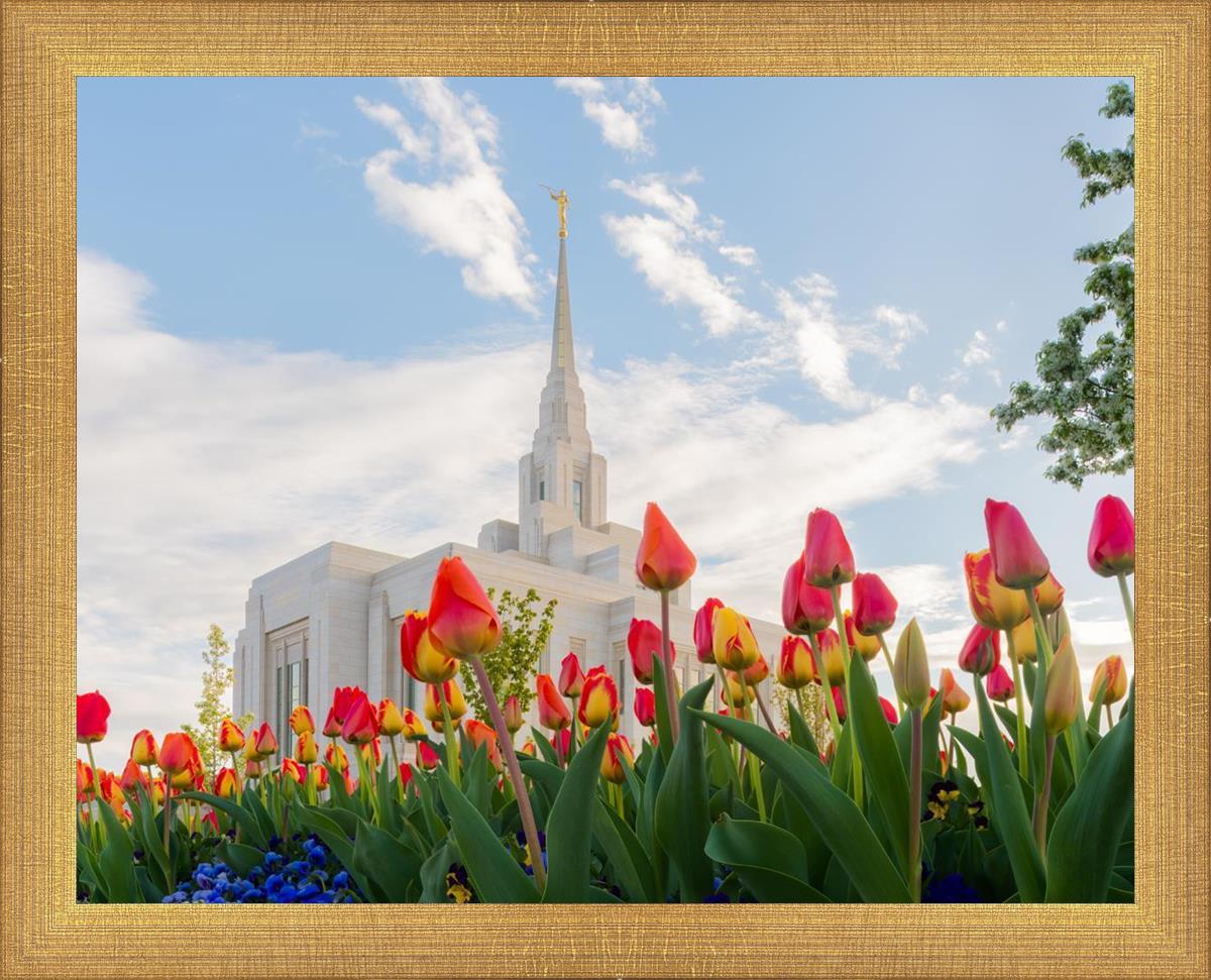 Ogden Flowers