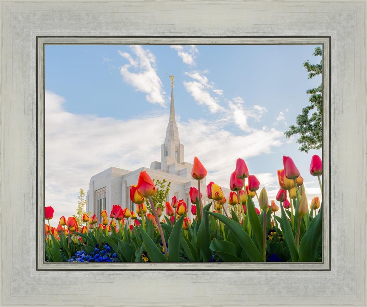Ogden Flowers