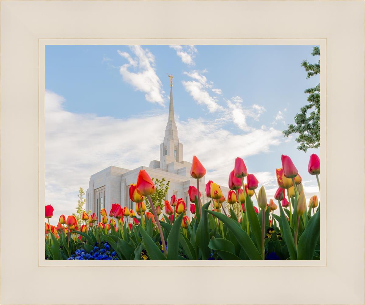 Ogden Flowers
