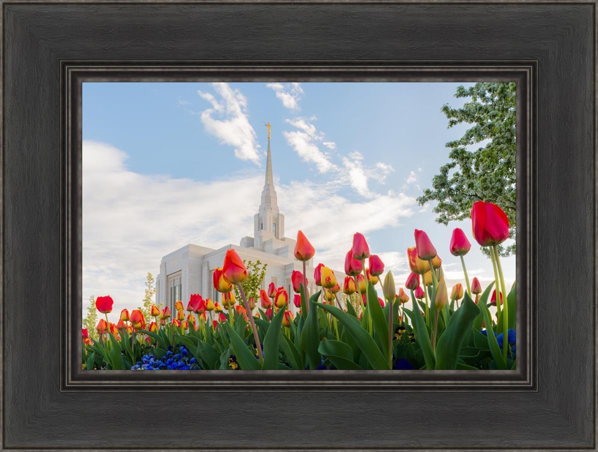 Ogden Flowers