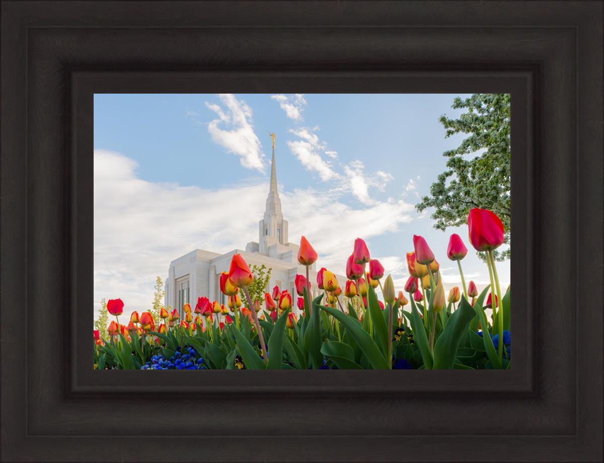 Ogden Flowers
