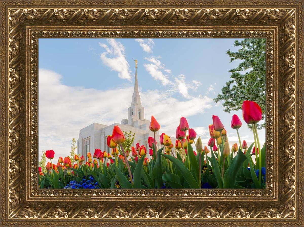 Ogden Flowers