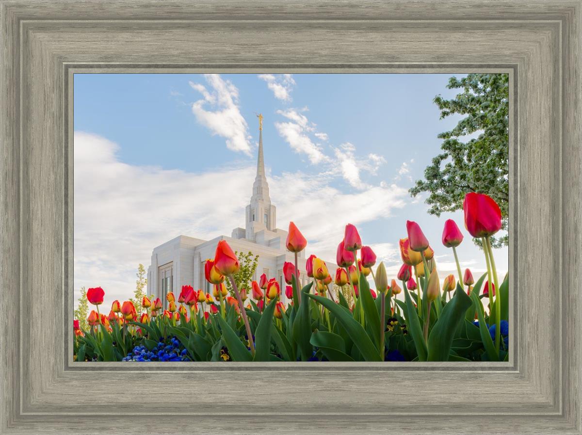 Ogden Flowers