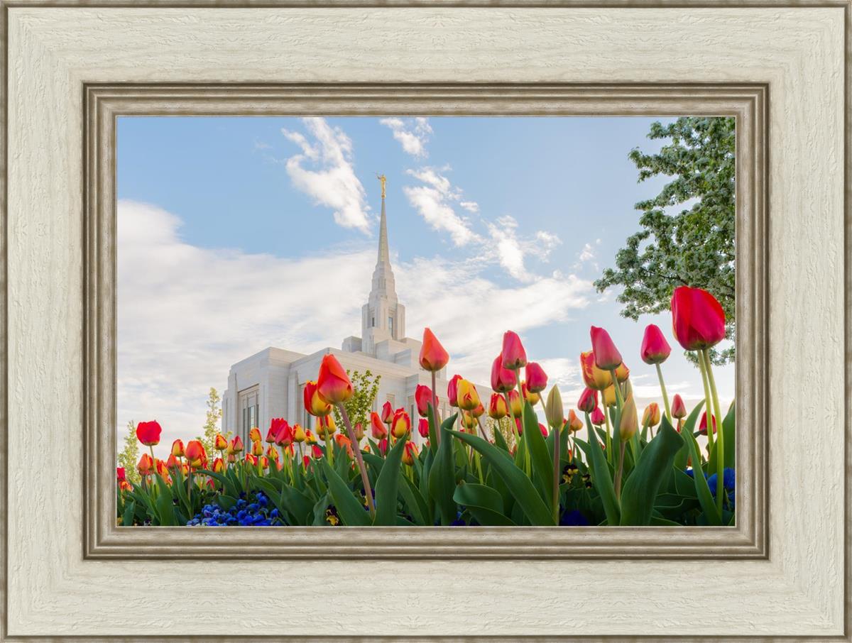 Ogden Flowers
