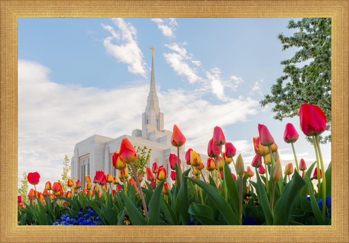 Ogden Flowers