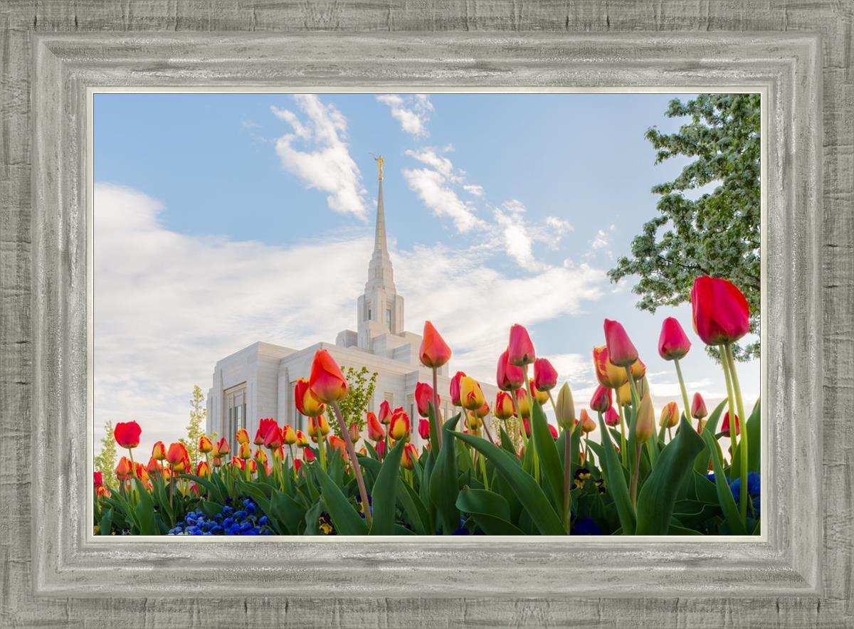 Ogden Flowers
