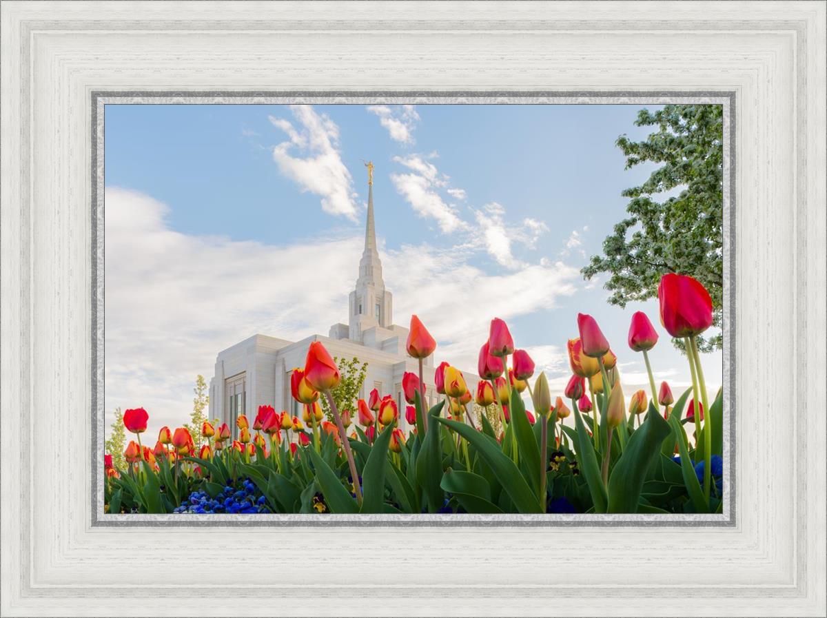 Ogden Flowers