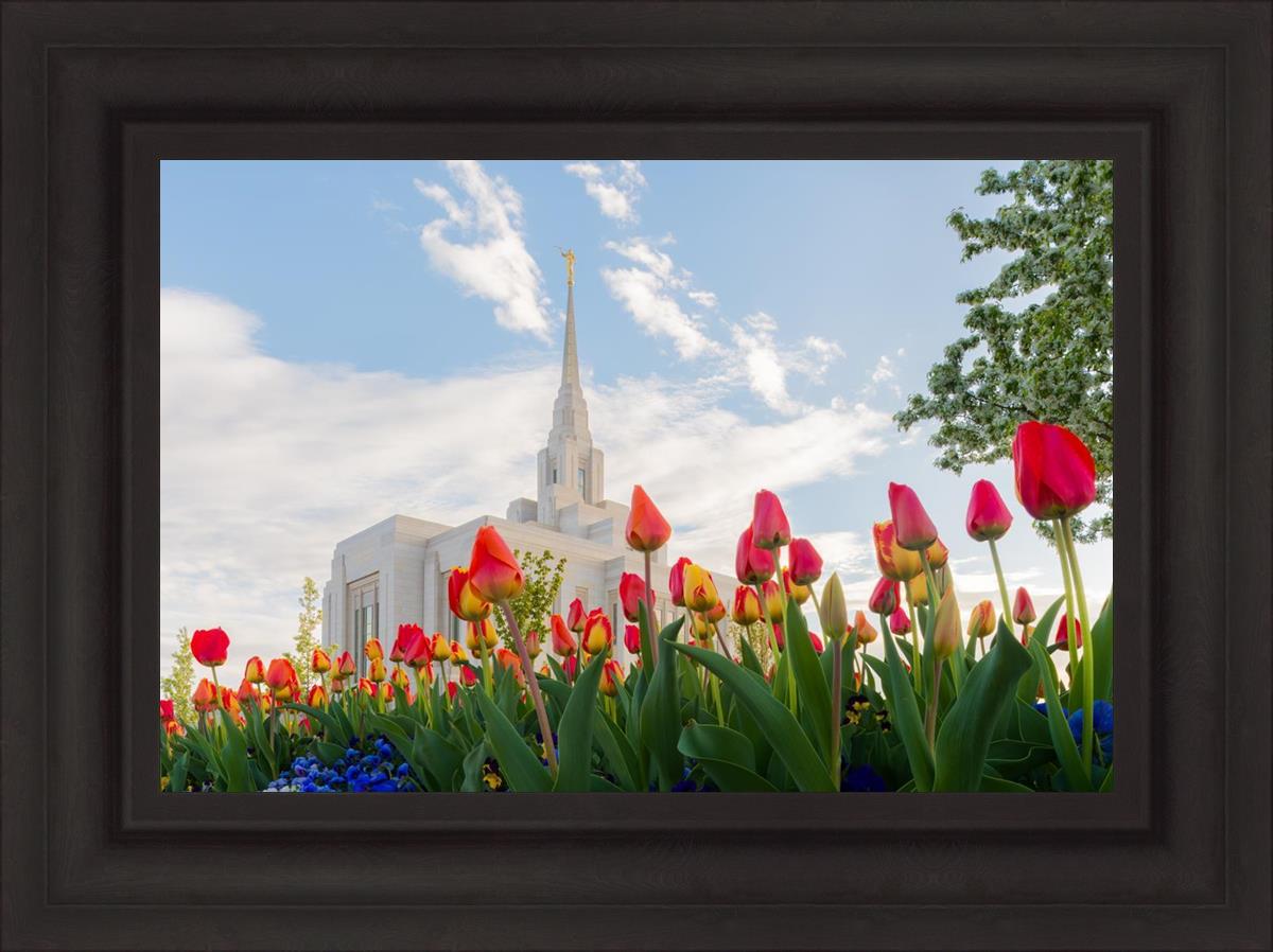 Ogden Flowers