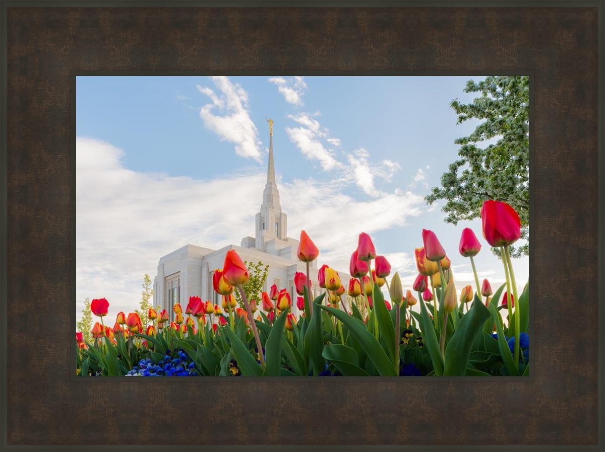 Ogden Flowers