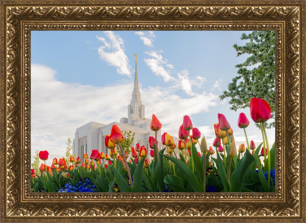 Ogden Flowers