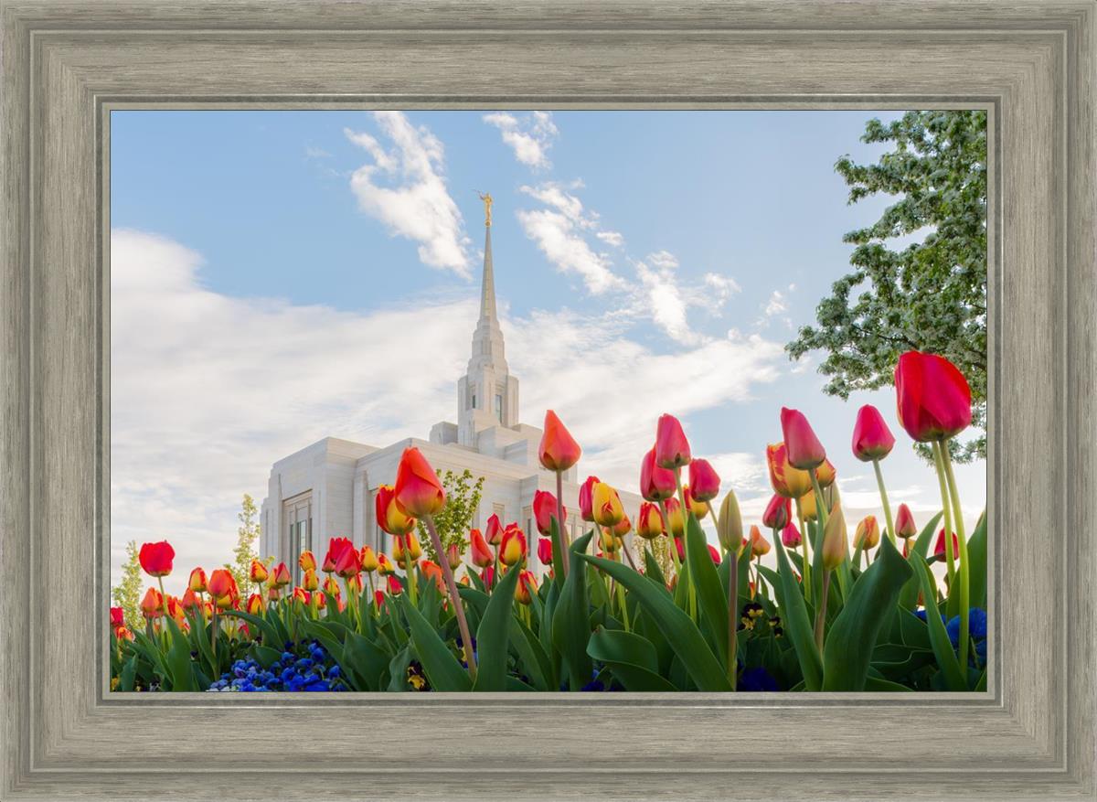 Ogden Flowers
