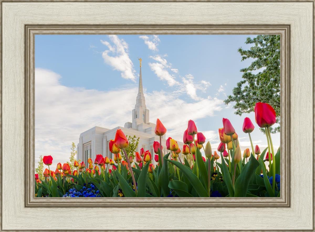 Ogden Flowers