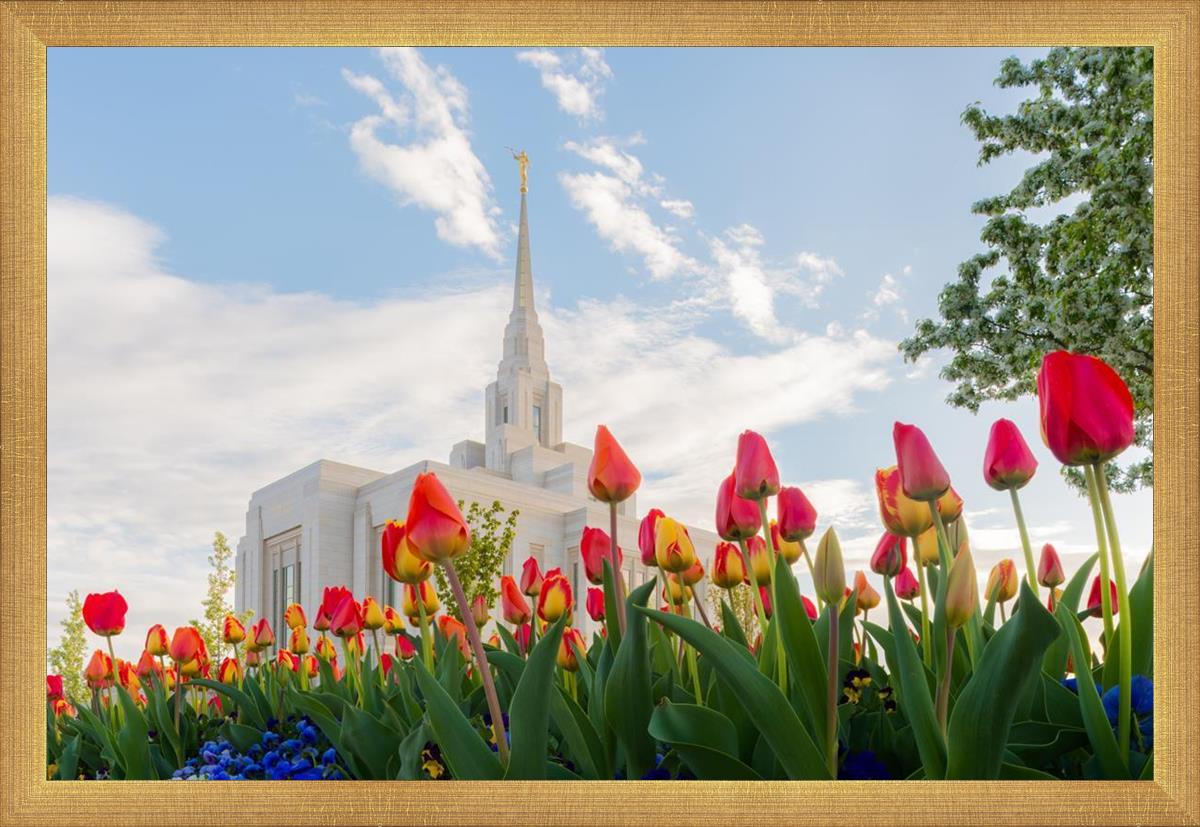Ogden Flowers