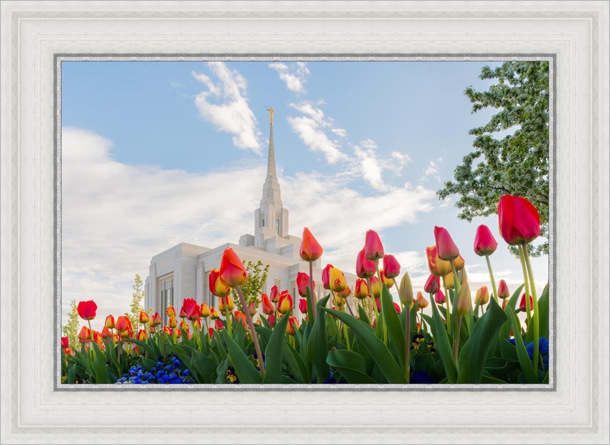 Ogden Flowers