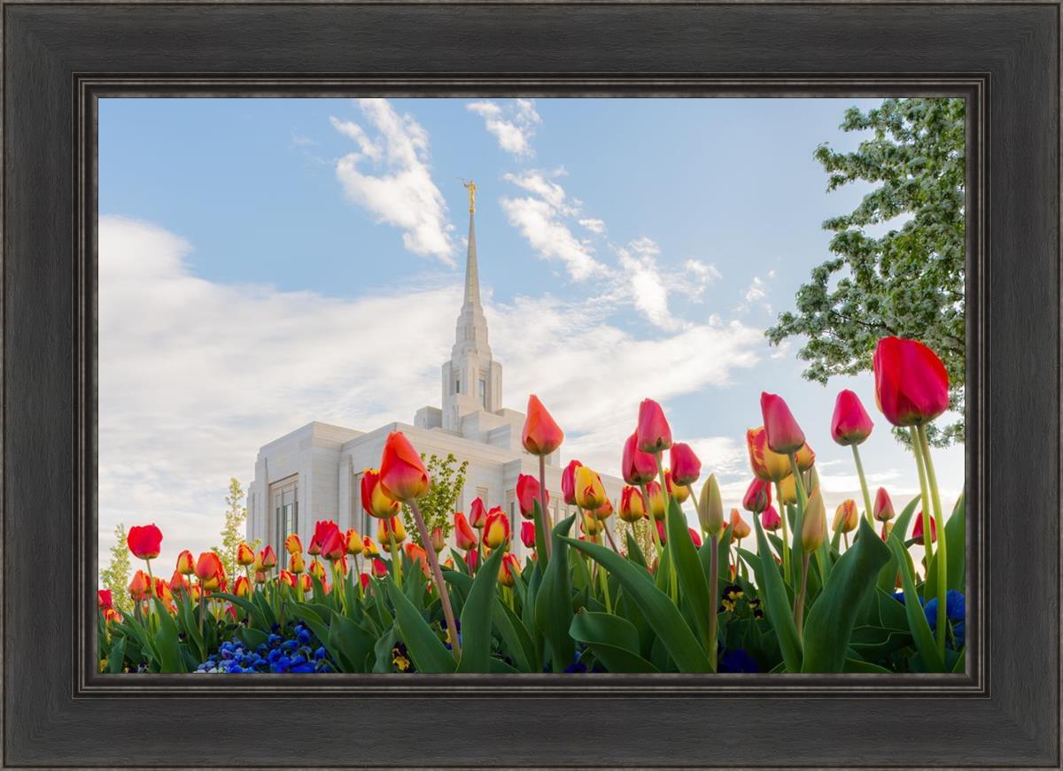 Ogden Flowers