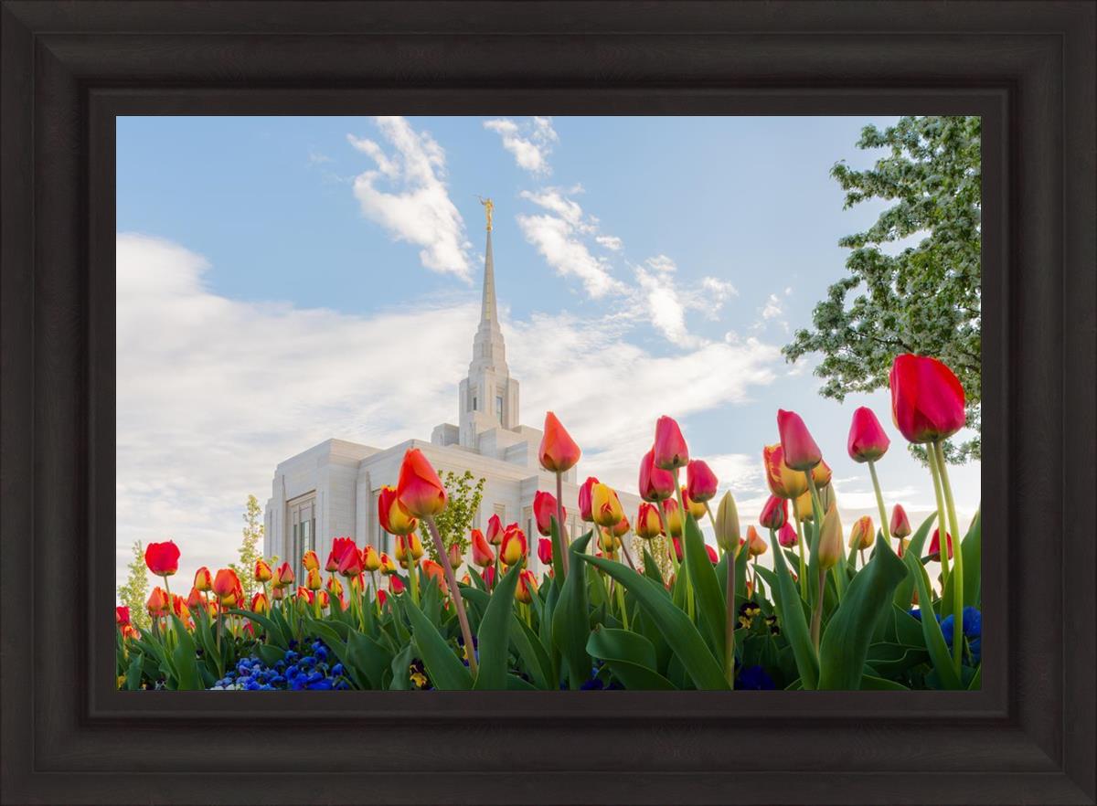 Ogden Flowers
