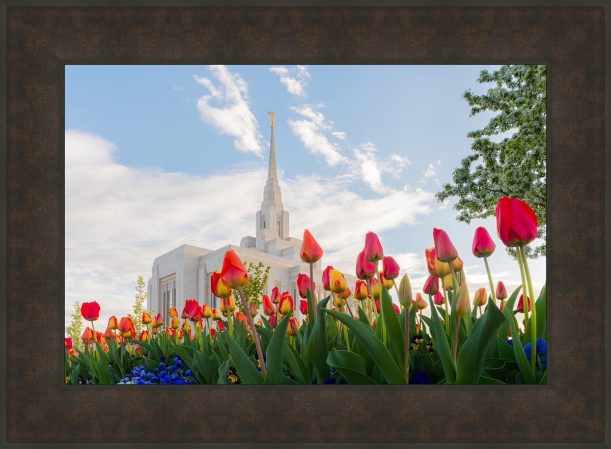 Ogden Flowers