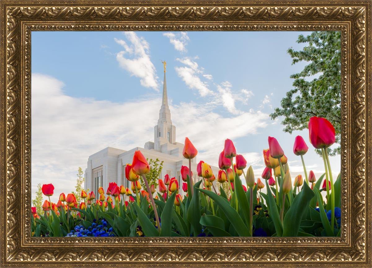 Ogden Flowers