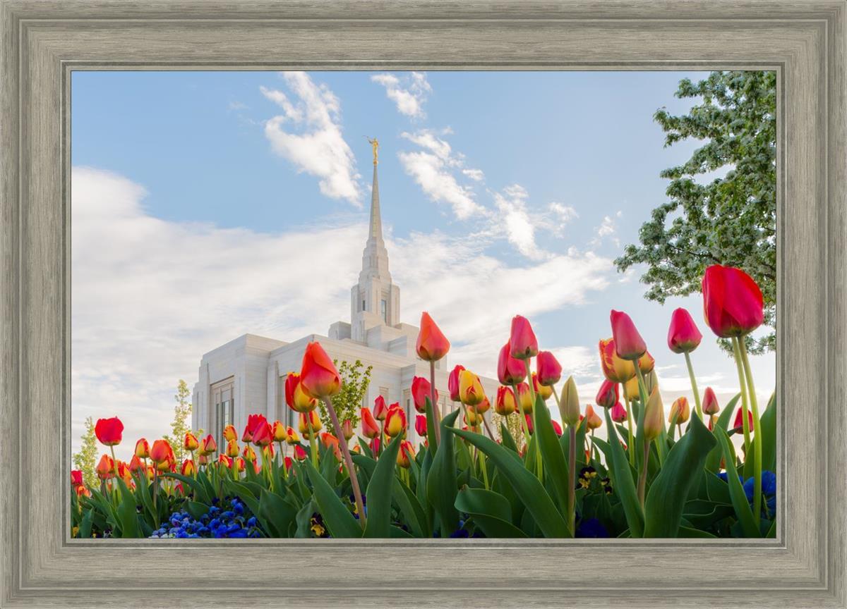 Ogden Flowers