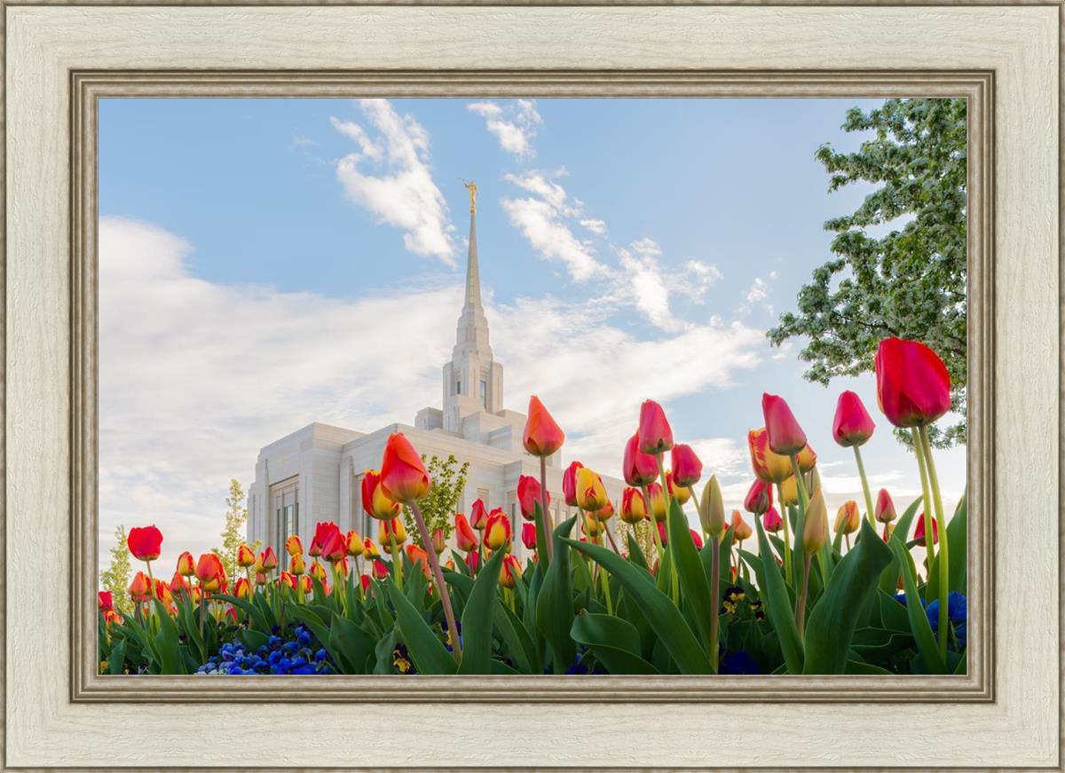 Ogden Flowers