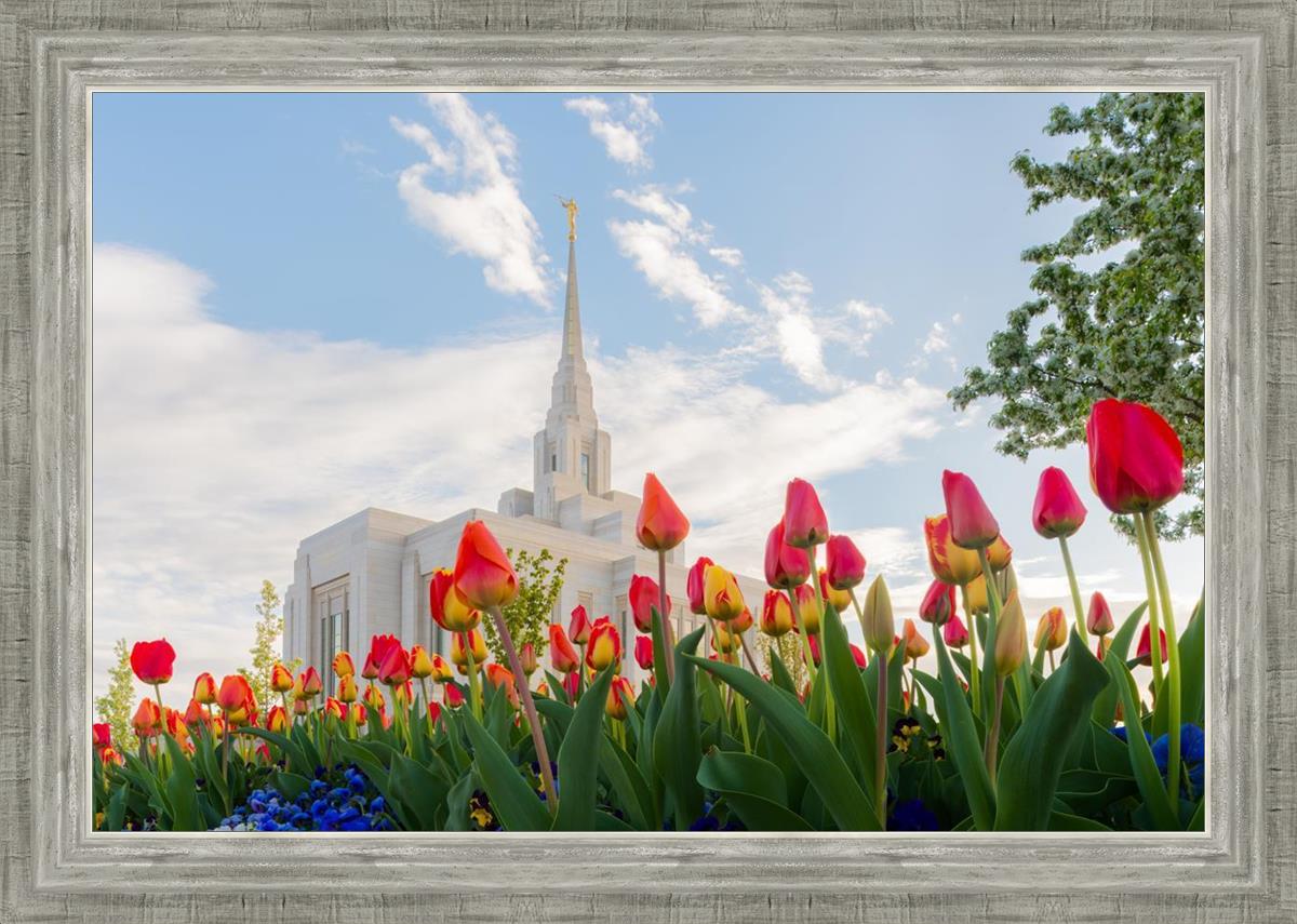 Ogden Flowers