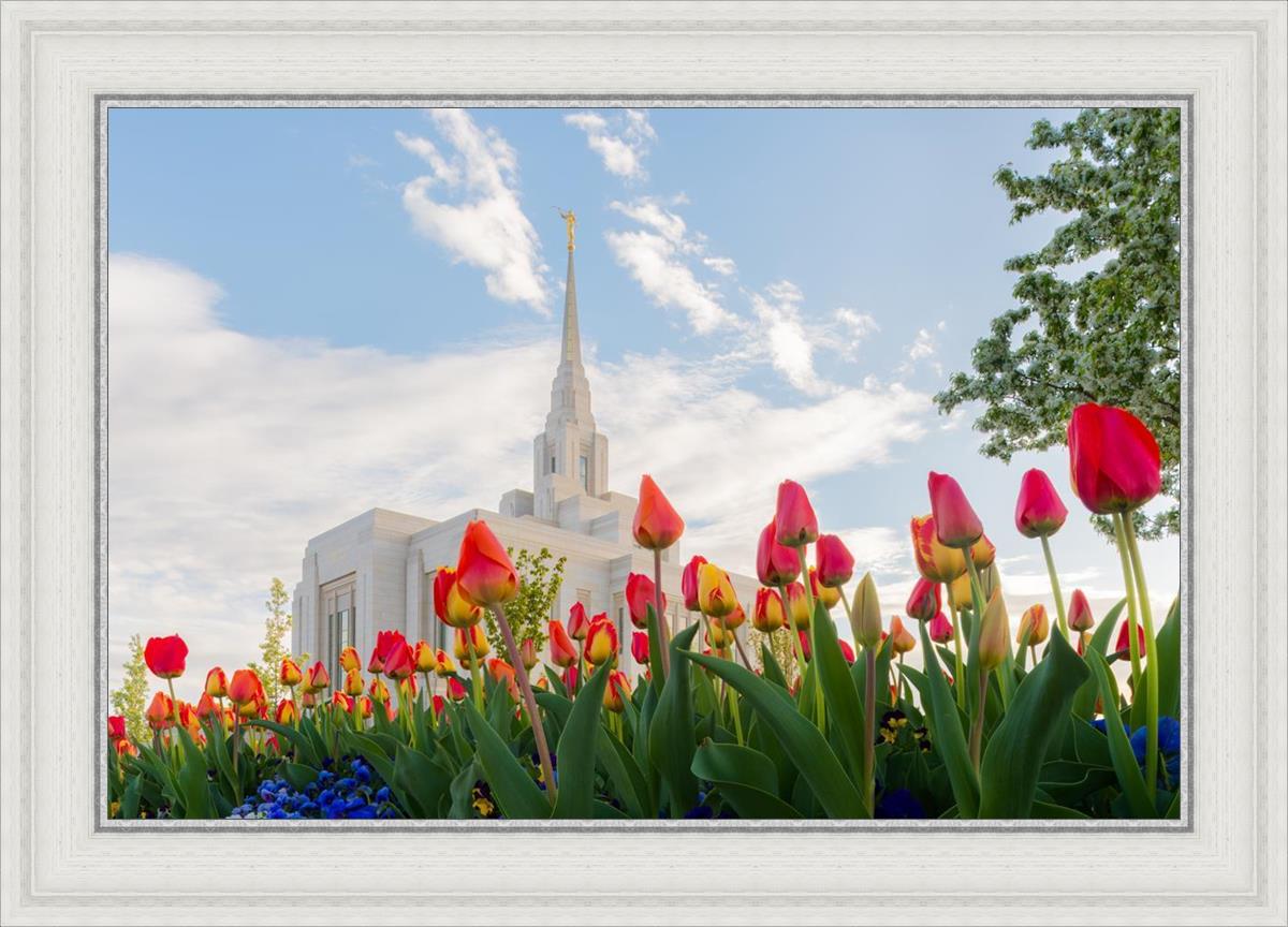 Ogden Flowers