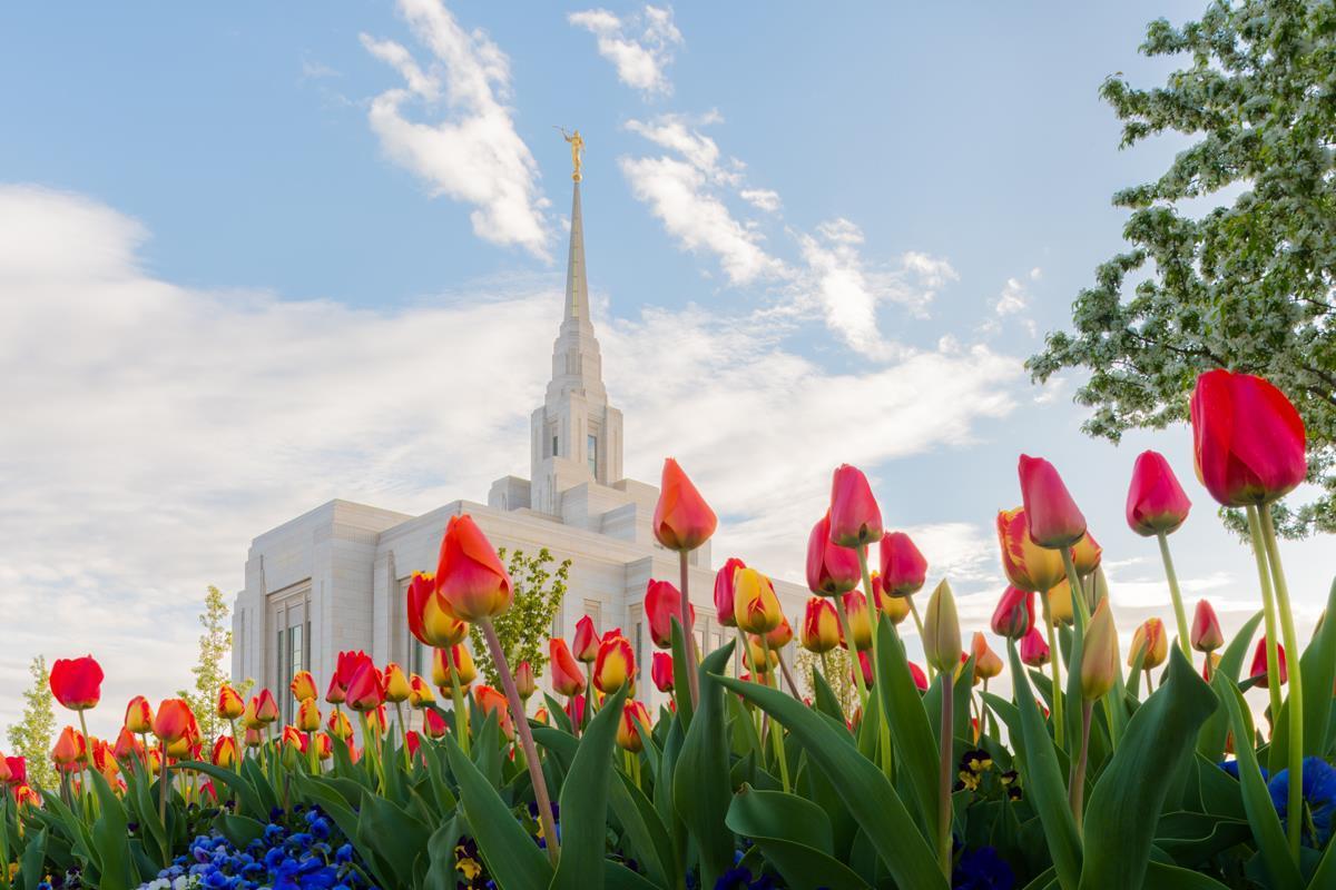 Ogden Flowers