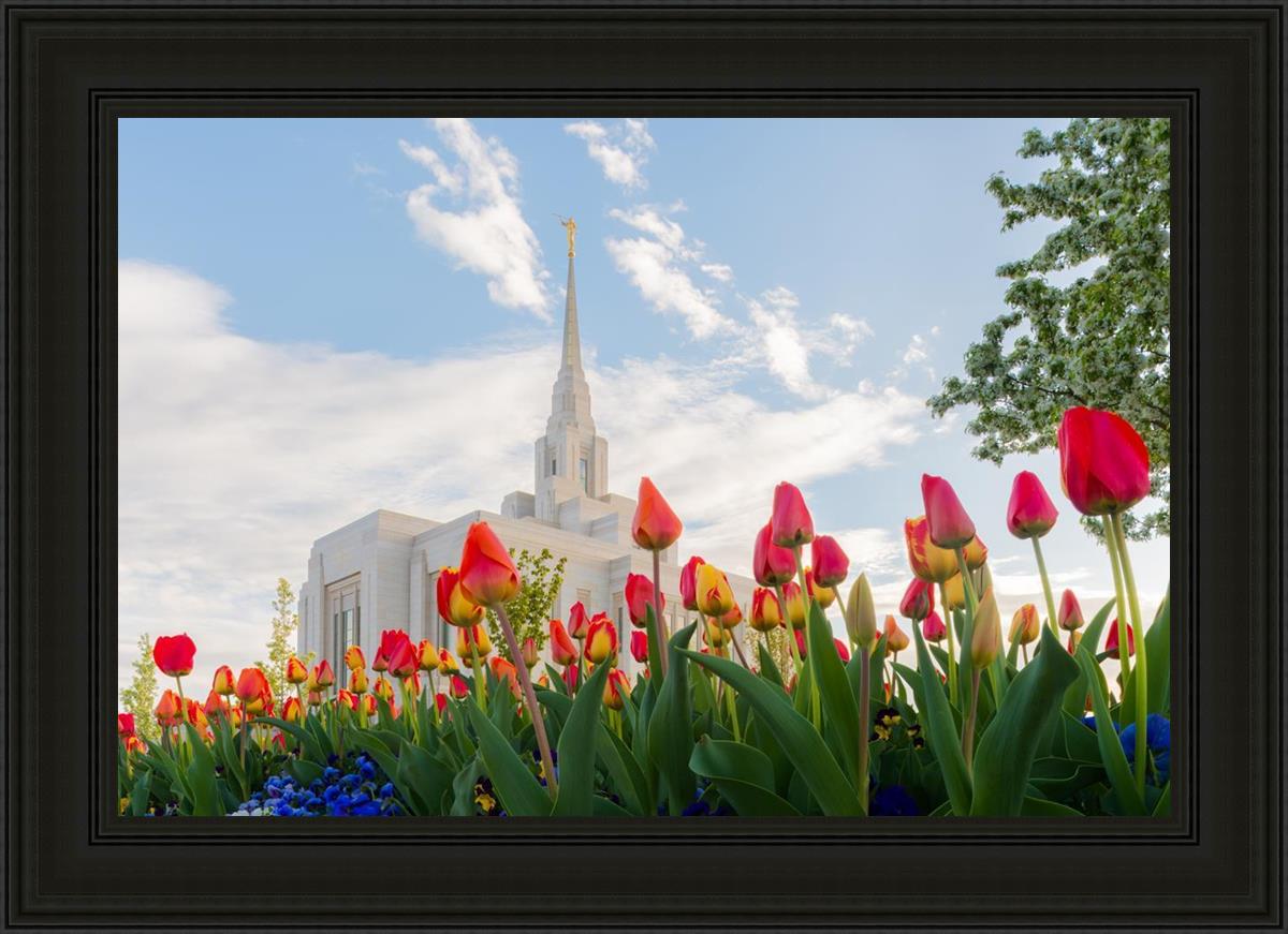 Ogden Flowers
