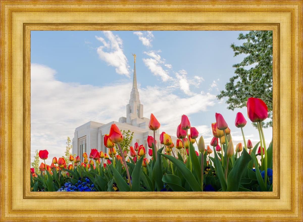 Ogden Flowers