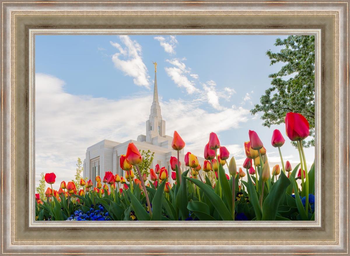 Ogden Flowers