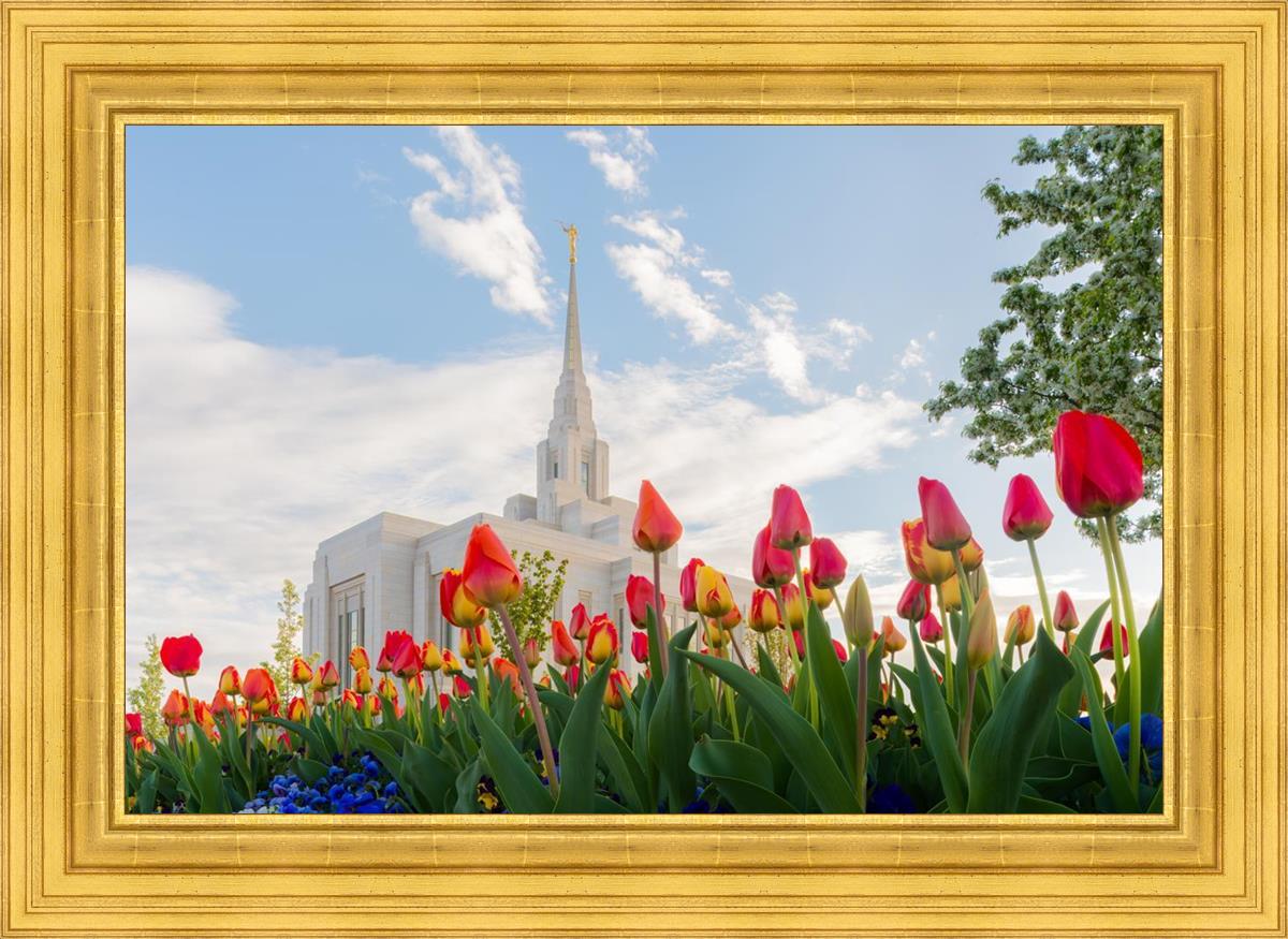 Ogden Flowers