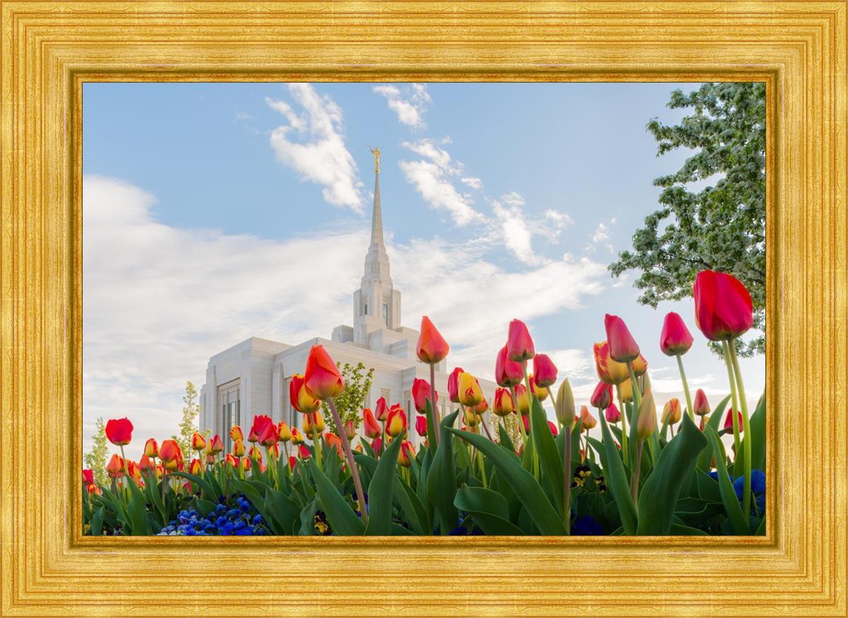 Ogden Flowers